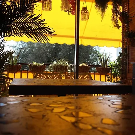 招待所 Rosie's Club 阿雅克肖