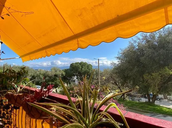 Rosie's Club 3* Ajaccio (Corsica)