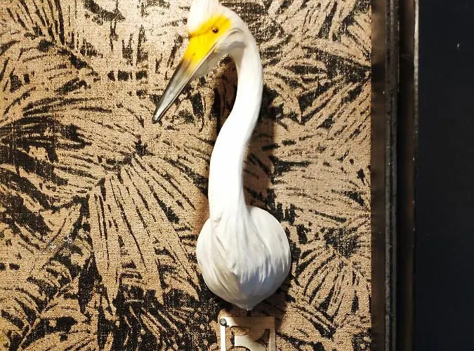 Rosie's Club Ajaccio (Corsica)